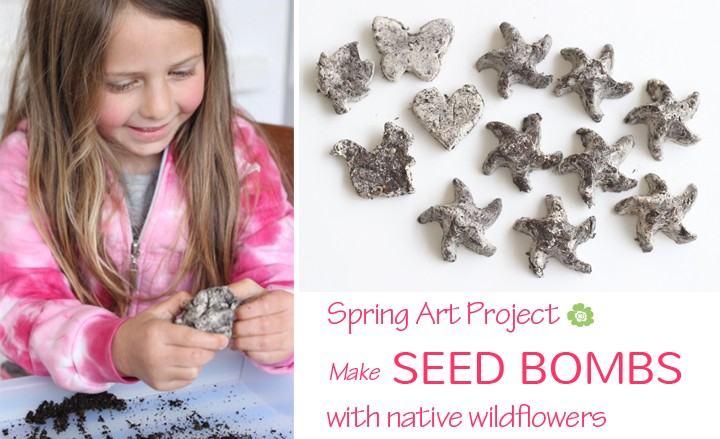 Spring art project: Make seed bombs with native wildflowers - from The Art Pantry